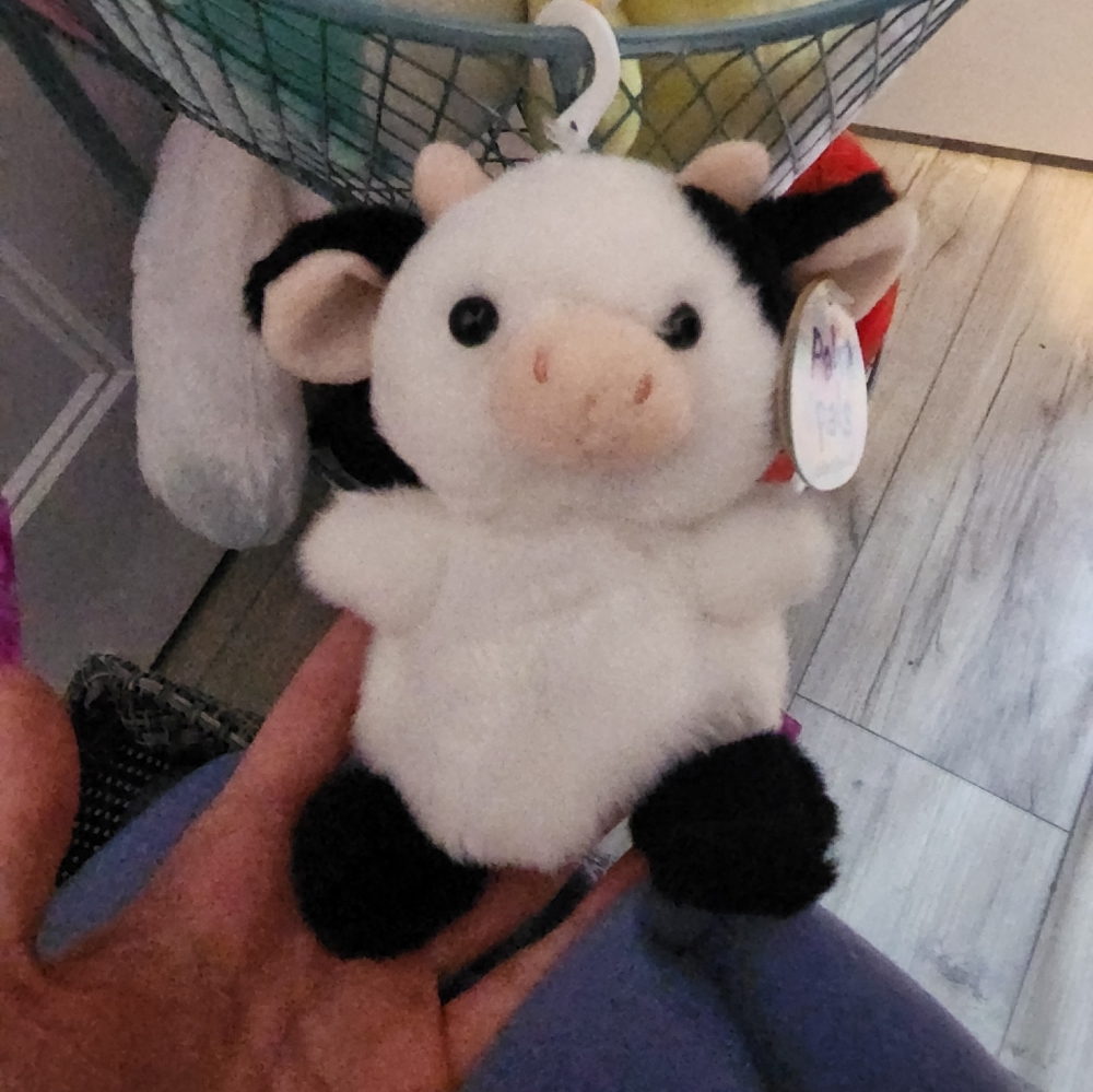 Palm pals cow